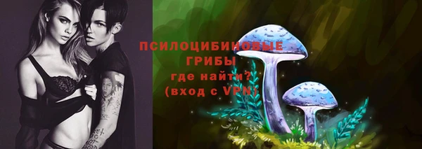 apvp Струнино