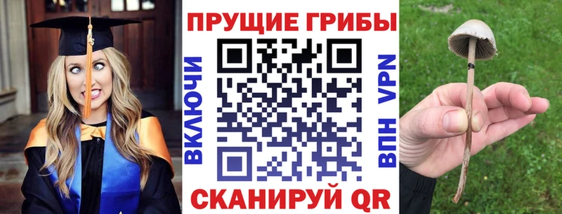 цена наркотик  Советск  Псилоцибиновые грибы прущие грибы 