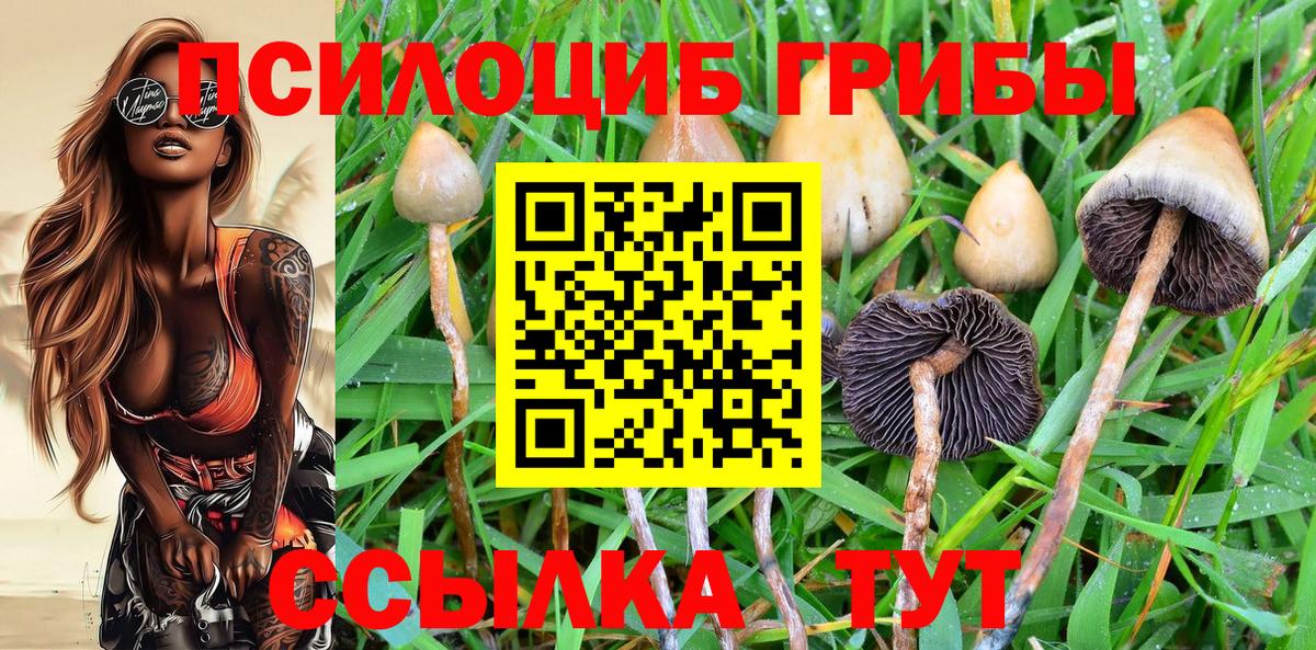 Псилоцибиновые грибы мицелий Советск