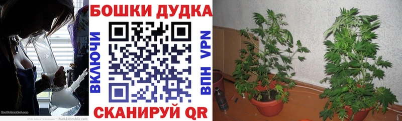Конопля семена  Советск 